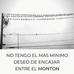 Meet your Posher, Ennis